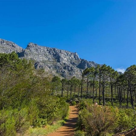 20 Belladonna Avenue Vredehoek كيب تاون المظهر الخارجي الصورة