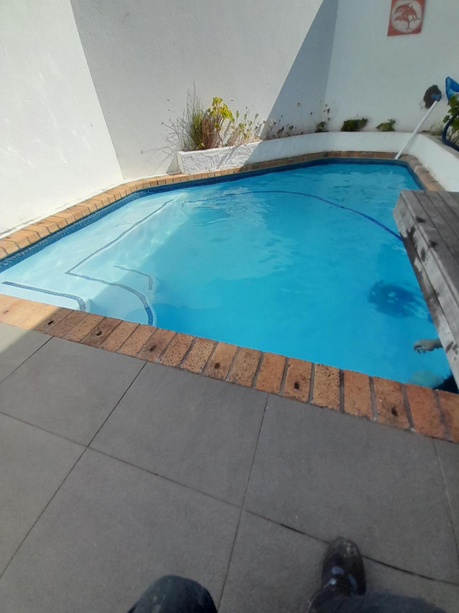 20 Belladonna Avenue Vredehoek كيب تاون المظهر الخارجي الصورة