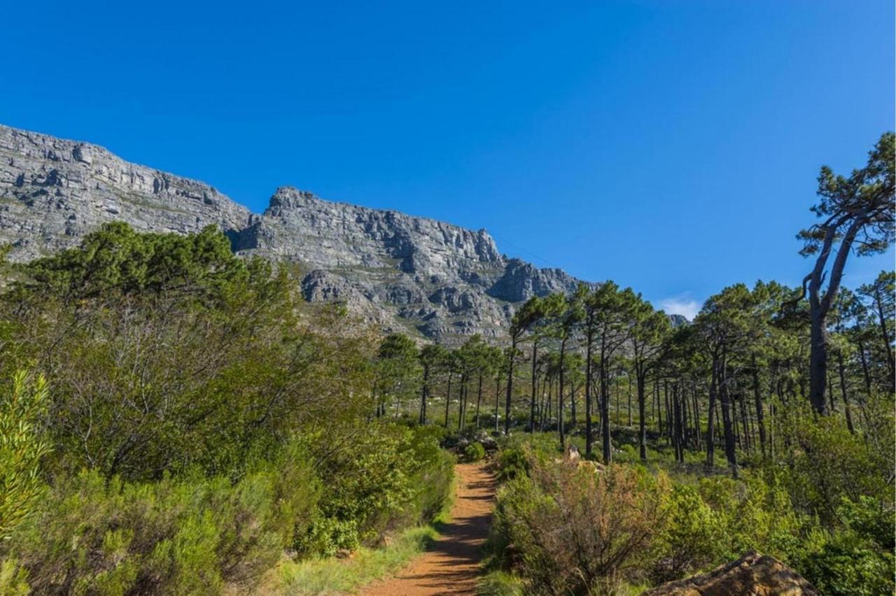 20 Belladonna Avenue Vredehoek كيب تاون المظهر الخارجي الصورة